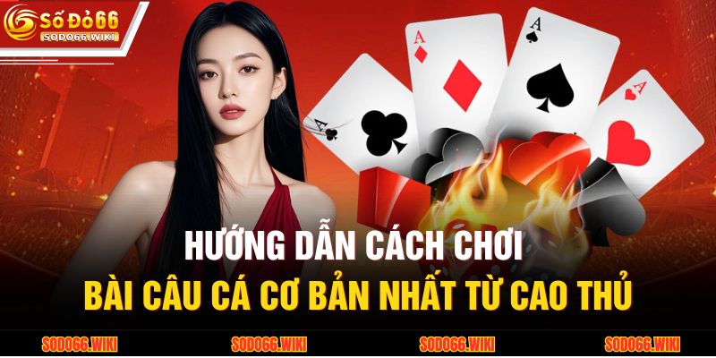 Hướng dẫn cách chơi bài câu cá cơ bản nhất từ cao thủ