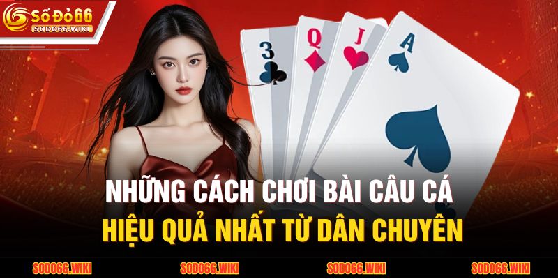 Những cách chơi bài câu cá hiệu quả nhất từ dân chuyên