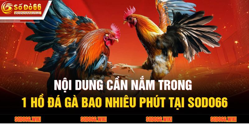 Nội dung cần nắm trong 1 hồ đá gà bao nhiêu phút tại SODO66