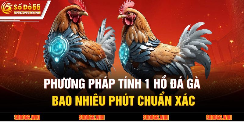 Phương pháp tính 1 hồ đá gà bao nhiêu phút chuẩn xác