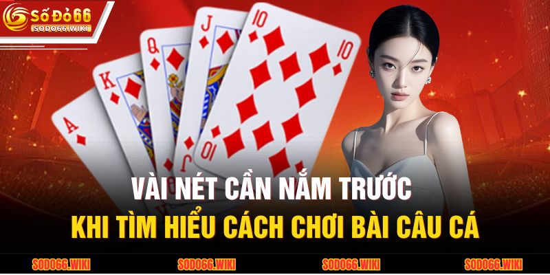 Vài nét cần nắm trước khi tìm hiểu cách chơi bài câu cá